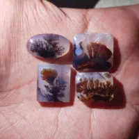 بارخونه 4 عددی منظره شجر قائن