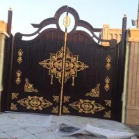 رنگامیزی شاهین