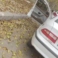 سمند ۹۱ دوگانه بی رنگ و سالم