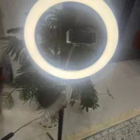 رینگ لایت|دوربین عکاسی و فیلم‌برداری|تهران, فلسطین (میدان انقلاب)|دیوار