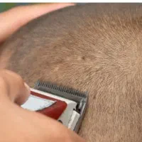 کوتاهی مدرسه