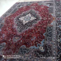 فرش ماشینی|فرش|گلستان (تهران), |دیوار