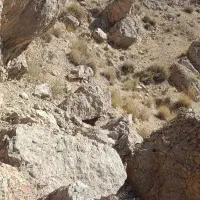 نسخه سنگی دفینه به همراه مکان دفینه .