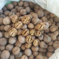 گردو کاغذی|خوردنی و آشامیدنی|شیراز, بازار|دیوار