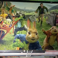 انواع فرش و فرشینه کودک کاشان