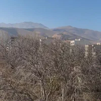 واحد۹۵متری استادان ادیب