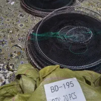 گرگور بزرگ ماهیگیری