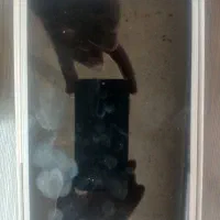 تب لت سامسونگ