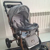 کالسکه دلیجان بنیتا