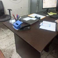 استخدام منشی خانم