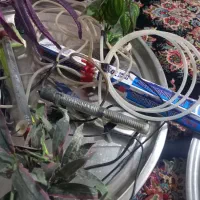 لوازم آکواریوم|لوازم جانبی حیوانات|نسیم‌شهر, |دیوار