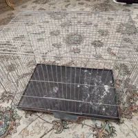 قفس پرنده