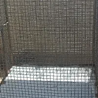 قفس آهنی نو ... پرنده مرغ و خروس