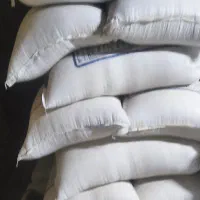 گندم بوجاری نشده ( مناسب برای خوراک دام یا بذر )