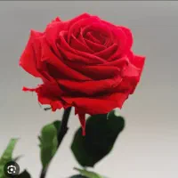 سرویس خصوصی مدرسه و اداره