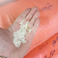 برنج شیرودی کارخانه