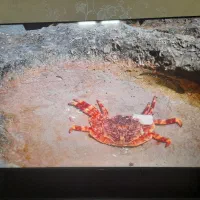 ال ای ۶۵ اینج ایکس ویژن فورکی اسمارت ۶۴۵|تلویزیون و پروژکتور|ملارد, |دیوار