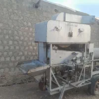 بوجاری