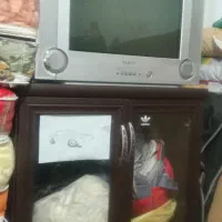 تلویزیون ۲۱ اینچ|تلویزیون و پروژکتور|ملایر, |دیوار