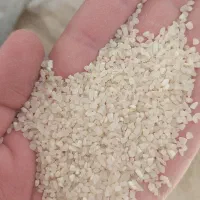 خورده برنج کامفیروز