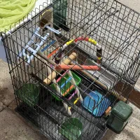 قفس پرنده طوطی و مرغ عشق|لوازم جانبی حیوانات|چمران, |دیوار