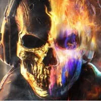 سیپی رایگان