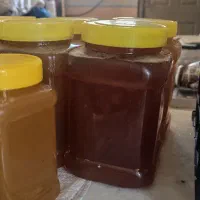 عسل طبیعی ۱۰۰٪ ارسال فوری