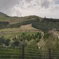 راهنمایی لطفا