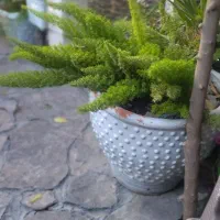 سویت شهر خانببین خان ببین|اجارهٔ کوتاه‌مدت آپارتمان و سوئیت|خان ببین, |دیوار