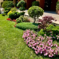 باغبانی.فضای سبز.محوطه.روفگاردن.نگهداری فضای سبز