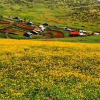 گروه کوهنوردی