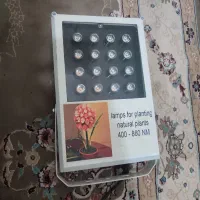 پروژکتور رشد گیاه