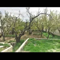 فروش زمین ۹۰۱ متری در کهنز
