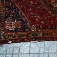 فرش دستباف با قدمت ۵۰ سال که بید زدگی داره|فرش|شیراز, تحویلی|دیوار
