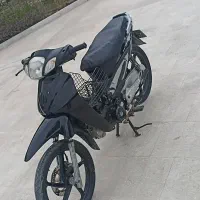 طرح ویو دلفین مدل 91