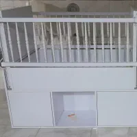 تخت و  گهواره نوزاد ابعاد بزرگ|تخت و صندلی بچه|شیراز, تحویلی|دیوار