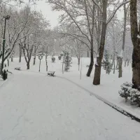 کلاس تقویتی ریاضی