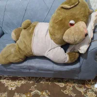 خرس خوابالو بزرگ