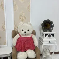 عروسک خرس|اسباب‌‌بازی|چناران, |دیوار