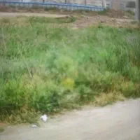 زمین شهرک ولیعصر