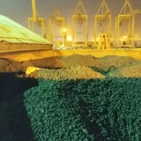 امور گمرکی و ترخیص کالا ،کـارگزار رسمـی گـمرکــ|خدمات حمل و نقل|تهران, پاسداران|دیوار