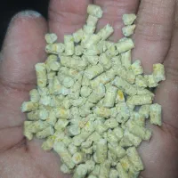 دان پارس مرغ گوشتی