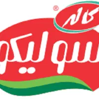 جذب نیروی خدمات