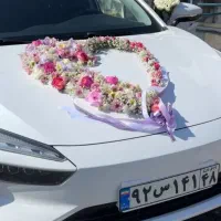 اجاره خودرو کلید تحویل|خودرو اجاره‌ای|بوشهر, |دیوار