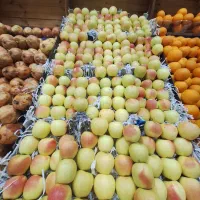 کارگر ماهر وکار بلد برای میوه فروشی نیاز مندیم