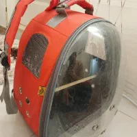 کیف حمل پرنده