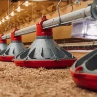 لوازم مرغداری( فروش ویژه جت هیتر و هواکش با تخفیف)