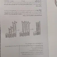 جزوه دوازدهم وگیاهی زیست شناسی حنیف عظیمی1404|کتاب و مجله آموزشی|اصفهان, آبشار|دیوار