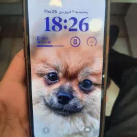 ایفون ۱۳ پرو مکس zaa