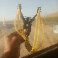 تیرکمان یا همون پلخمون|تجهیزات ورزشی|سلیمان, |دیوار